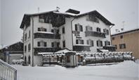Hotel STELLA ALPINA